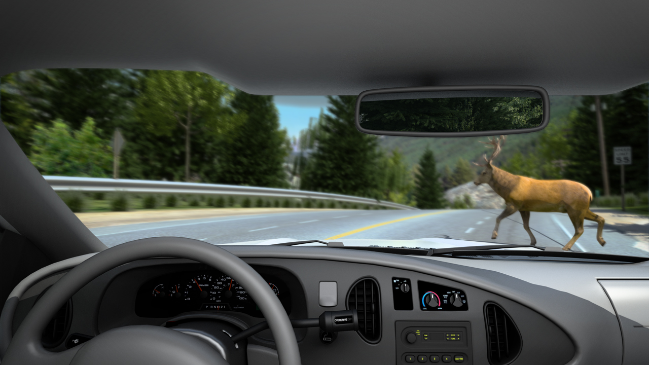 One example of a hidden hazard is an animal standing in the road around a sharp curve.