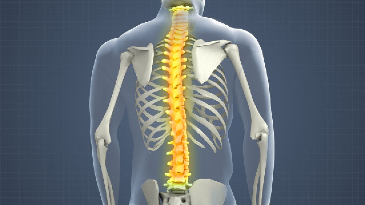 Back Injury Prevention Video - Convergence Training