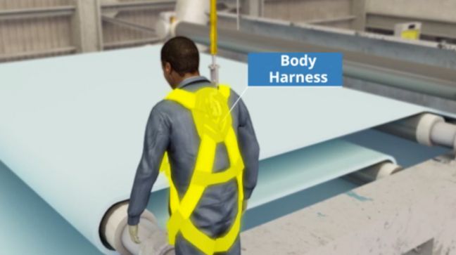 Fall Protection Harness Image